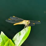 Darshan Vaidya - @dv.photography25 - Instagram