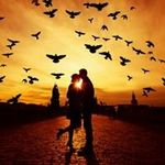 Darshan Vaja - @darshan.vaja.54 - Instagram