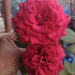 Darshana Dalvi - @darshanadalvi16 - Instagram