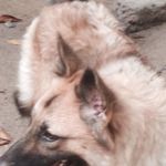 Darshana Silva - @darshana.silva.750 - Instagram