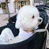 darwinbeckuu5960 - @darwinbeckuu5960 - TikTok