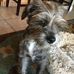 Darwin Cox - Facebook