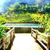 Darwin coy - @darwin.coy - TikTok