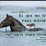 Darwin Dubon - @darwin.dubon.1800 - Instagram
