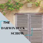 Daewin Duck - @darwinduck_ - Instagram