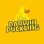 @darwin.ducklings_ua - Instagram