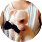 Darwin - @darwinducky - Instagram