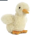 Darwin the Duck - @2025andaducknameddarwin - Instagram
