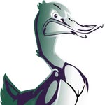The Darwin Ducks - @thedarwinducks - Instagram