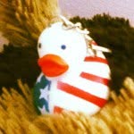 Theduckdarwin - @darwinduckm - Instagram