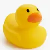 user2116154201770 - @darwin_duck_of_wisdom - TikTok