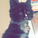Darwin Dyer - @darwin.thedestroyer - Instagram
