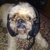 Darwin Begley - @darwinbegley - TikTok