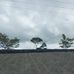 Darwin Elias - Facebook