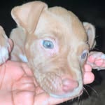 Darwin Espejo - @darwin01o - Instagram