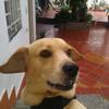 DarwinFabian - @darwinfabianb - TikTok
