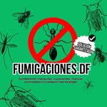Darwin Fermin - @fumigaciones.df - Instagram