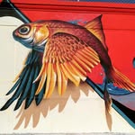 Darwin Fish - @fishdarwin - Instagram