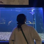 𝗸𝘂𝗸𝘂 - @darwinwattersonthefish - Instagram