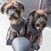Darren Flaherty - Facebook