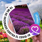 Darwin Frank Pérez Contreras - @darwinfrankperezcontreras - Instagram