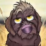 Darwin & Friends Treats - @darwinandfriendstreats - Instagram