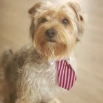 Photo_DARWIN - @darwin_friends - Instagram