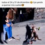 Darwin Galicia - @darwin.galicia.353 - Instagram