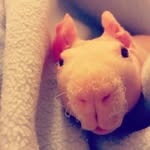 Darwin George - @darwin3537 - Instagram