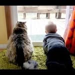 Darwin Graham - @darwingraham - Instagram