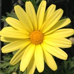 Darwin Greenhouse - @darwingreenhouse - Instagram
