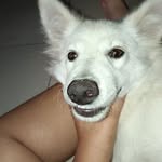 Darwin Grover - @darwingrover123445 - Instagram
