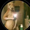 yeam canguro - @darwin.guerrero59 - TikTok
