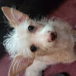 Darwin Hardin - @dearl.hardin - Instagram