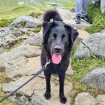 Darwin 🐾 - @darwin.and.harris.adventures - Instagram