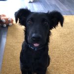 Darwin & Harris - @adventure_of_darwin_and_harris - Instagram