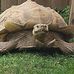 Darwin Harris - Facebook