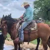 darwinharrison - @darwin.harrison - TikTok