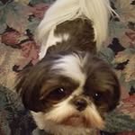 Darwin Hayes - @hayes.darwin - Instagram