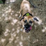 Darwin Hill - @darwinrunshills - Instagram
