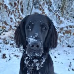 Tom - @wine.hill.darwin - Instagram