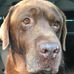 Darwin Holm - Facebook