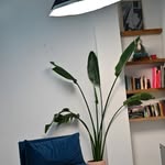 Darwin House de Ximena Ambrosioni - @darwinhouseestudio - Instagram