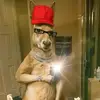 Darwin Isidro - @darwin.isidro1 - TikTok