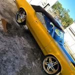 Darwin Kelly - @sharknafuknfishtank - Instagram