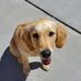 Darrin Knudson - Facebook