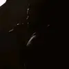 darwin landaverde - @darwin_landaverde - TikTok