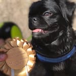 Darwin - @darwin.lawson - Instagram