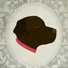 Darwin Lee - @darwin.lee - TikTok