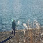 Darwin Lee - @daihonglee - Instagram